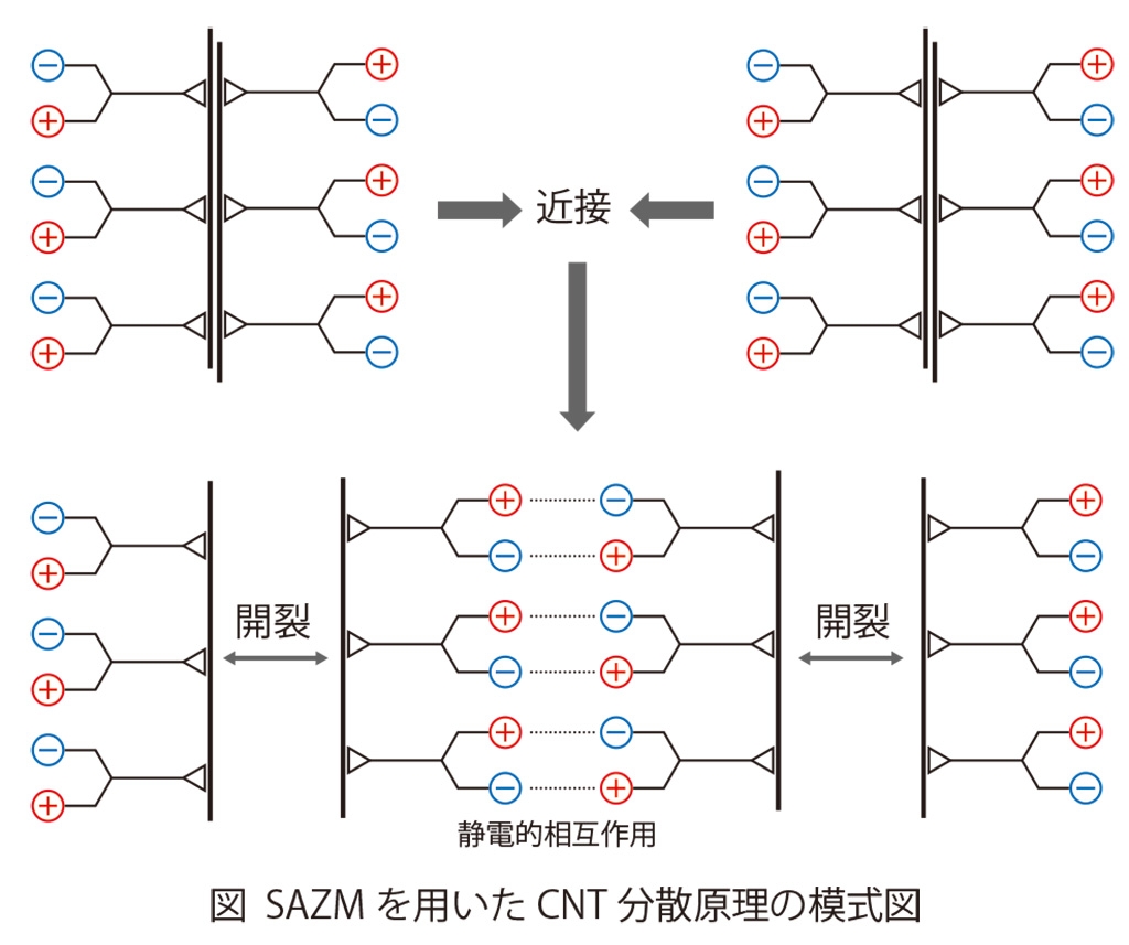 図1）SAZMを用いたCNT分散原理の模式図
