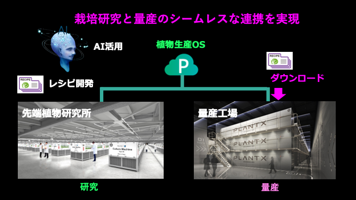 先端植物研究所における研究と量産の連携構想